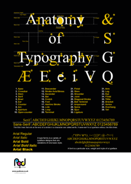 Anatomy of typography