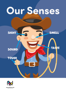 5 Senses