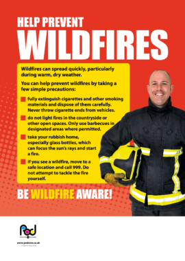 Wildfires