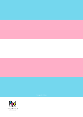 Transgender Colours