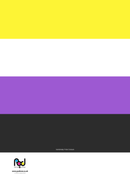 Nonbinary Pride Colours