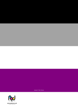 Asexual Pride Colours