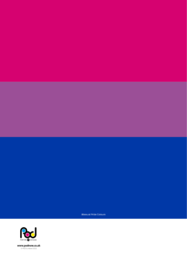 Bisexual Pride Colours