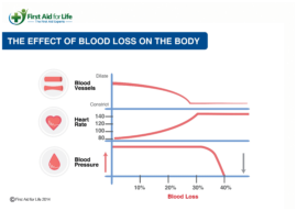 Blood Loss Effects