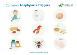 Common Anaphylaxis Triggers