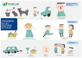Asthma Attack Triggers