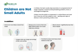 Children are Not Small Adults