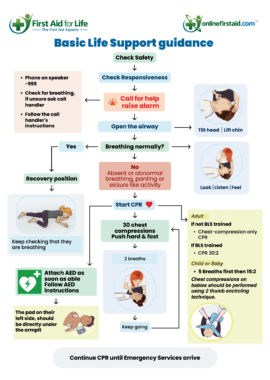 Basic Life Support Adult