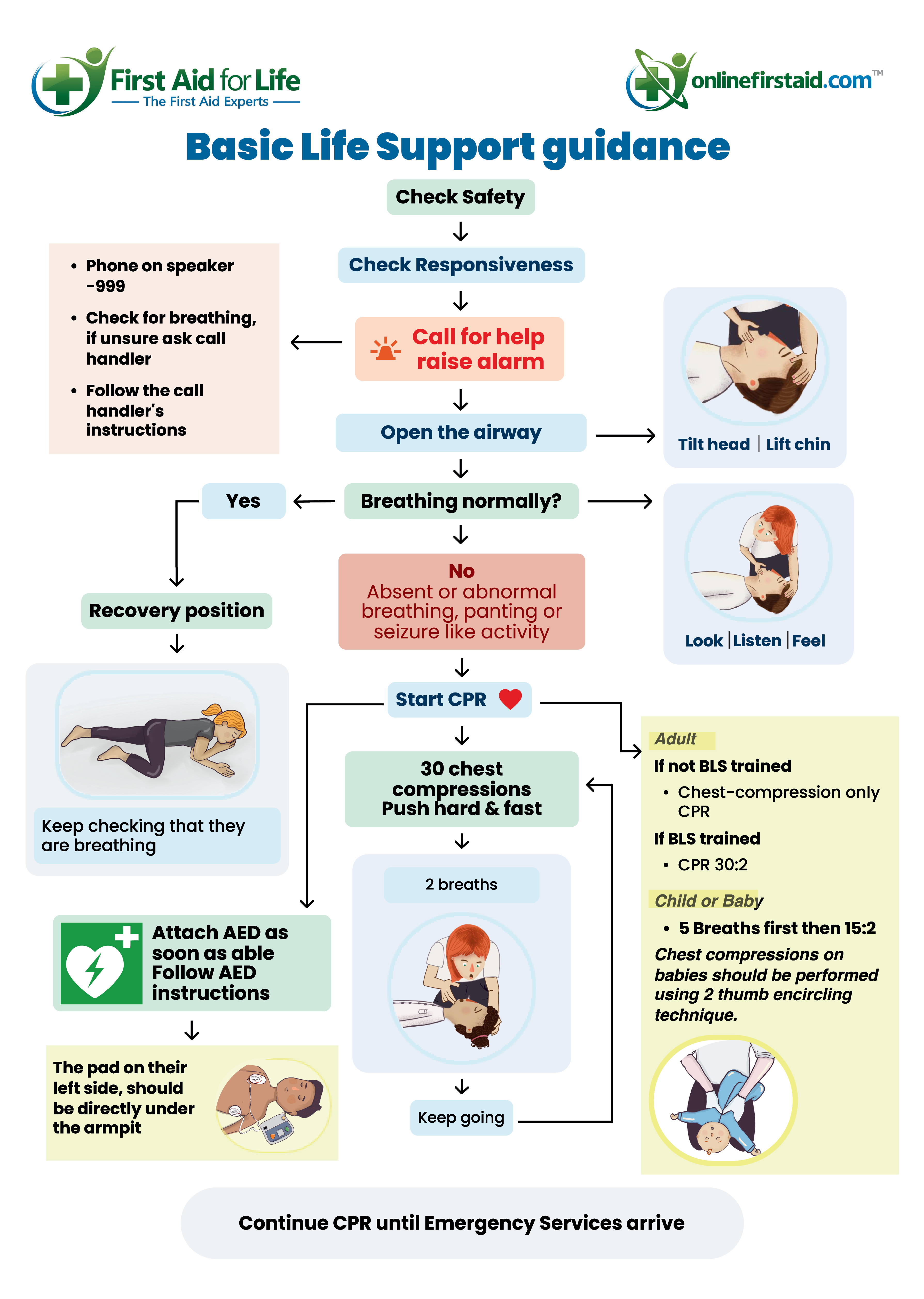 Basic Life Support Adult