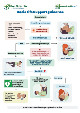 Basic Life Support Child & Teen